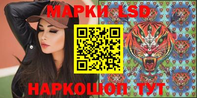 прущий лед Будённовск