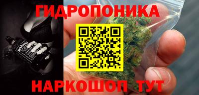 прущий лед Будённовск