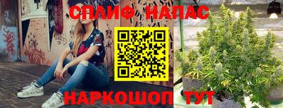 прущий лед Будённовск