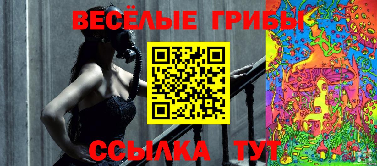 Псилоцибиновые грибы MAGIC MUSHROOMS  Вход с VPN  Псков 