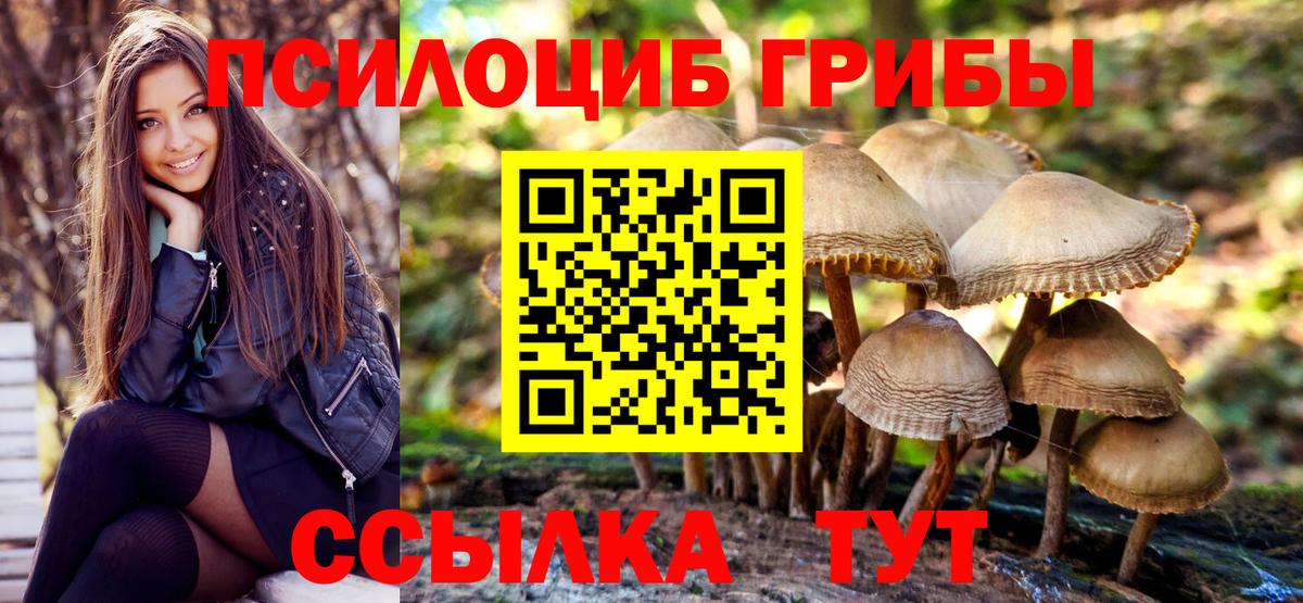 Галлюциногенные грибы MAGIC MUSHROOMS Псков
