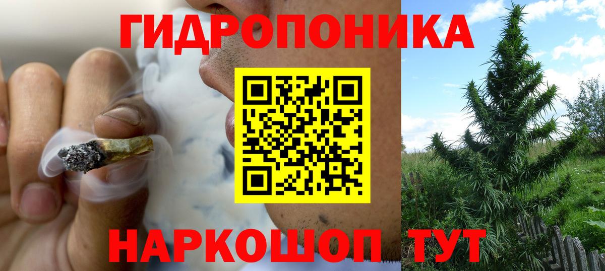 Бошки марихуана индика  Канабис MAZAR  Псков  Вход с VPN  Канабис OG Kush 